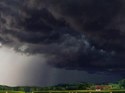 „Notstands-Verfassung